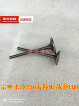 Hailing M7 Zongshen water-cooled CB250 off-road vehicle CQR250 Tomahawk 250 off-road vehicle 69 bore valve