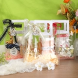 Брендовое прозрачное платье подружки невесты из ПВХ, льняная сумка, для подружки невесты, подарок на день рождения