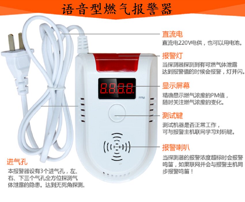 Anery Letter 220V Independent Voice Type Gas Gas Gas Leak Siren can fit 9V spare battery