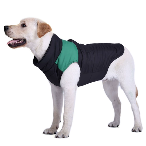 Веселая собачья одежда зима большая собака само золотисто -ретривер увы