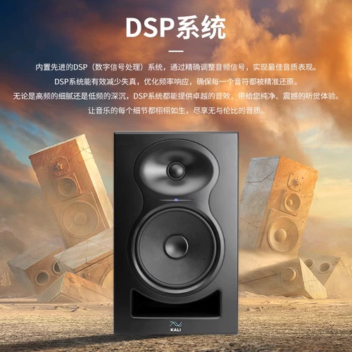 Kali/K & L LP6 LP8 v2 IN5 IN8 Professional Monitor Doinger Dual-Di-раздел с тремя дилевыми коаксиальными аудио