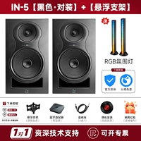 IN5 [Black*Sucking] + [подвесной кронштейн + адаптер Bluetooth]