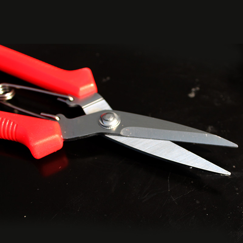 园艺剪刀 园林工具 精钢粗枝剪刀修枝剪花木剪刀修剪树枝果树剪