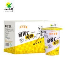 Qinghai Xiaoxi oat kernel yogurt 180g * 12 cups whole box of sour milk children highland barley plateau specialty