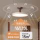 Bedroom Study Ceiling Lamp, Antique Style Walnut Color Full Spectrum Eye Protection Floating Lamp, Personalized Retro Lamp