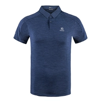 KG207111 Тибетский синий