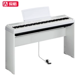 Casio, синтезированный синтезатор, клавиатура, педали