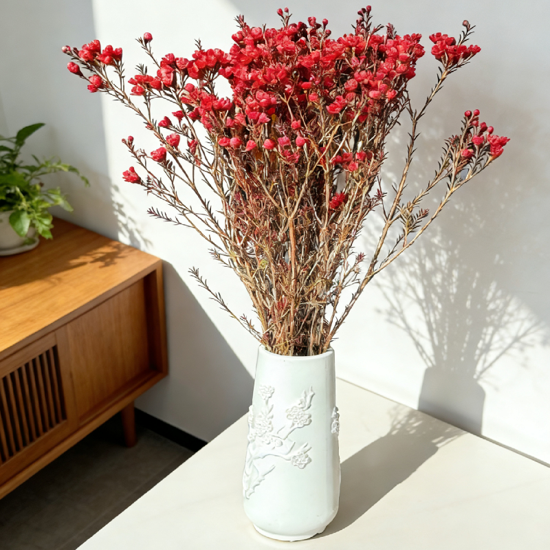 澳洲腊梅鲜花客厅摆设云南基地直发水养插花鲜切花摆件年宵花A