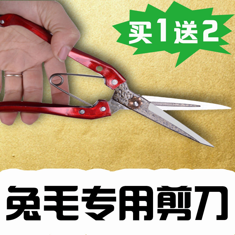 Hare scissors pet cut cut cut hair cut rabbit cut rabbit hair cut rabbit hair