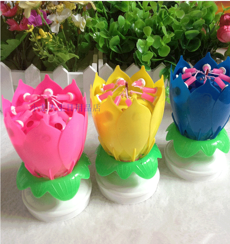 Bougie - Ref 2486200 Image 9