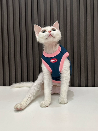 Ren Facai Оригинальный модный жилет чистый хлопок безволосая одежда для кошачьи одежды Dewen Одежда Sphinx Cat милый