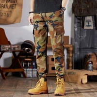 242 Huanghua [штаны]