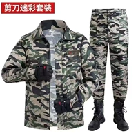 Черная и серая мисоселона 【Верх+брюки】