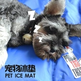 Только M Code 6.9 от Qing Zheng Ying Nai, чтобы взять коврик для собак Row Padding и лето.