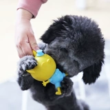 Зазор 5.9 Юань] Симпатичный енот может говорить на маленьких собачьих домашних животных с зубами с игрушками