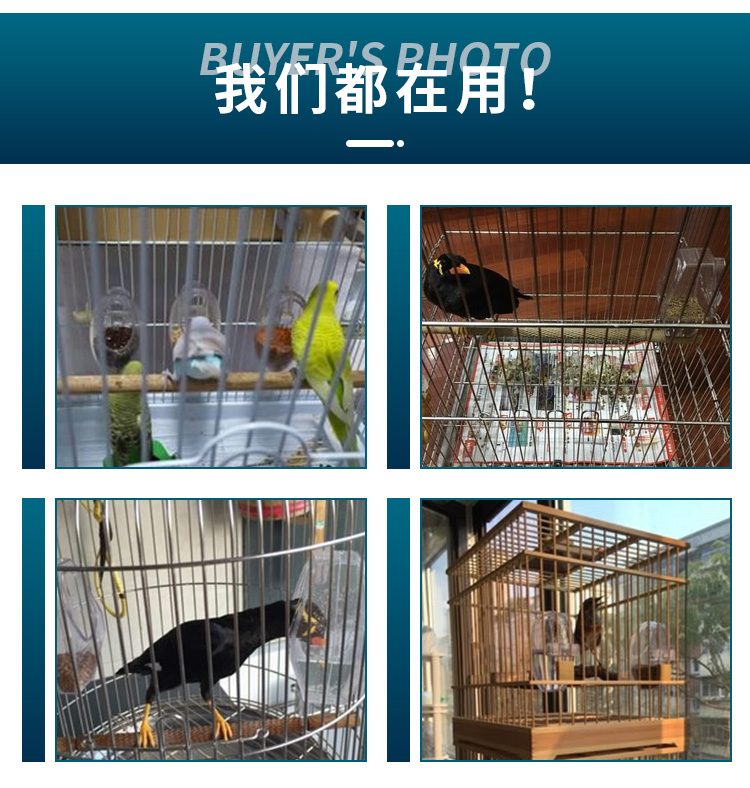 Pet chim cung cấp Thrush starling cousin cho ăn thiết bị Bẻ khóa ngọc bích hộp thức ăn chim vẹt uống đài phun nước thức ăn chim có thể - Chim & Chăm sóc chim Supplies lồng bẫy chim