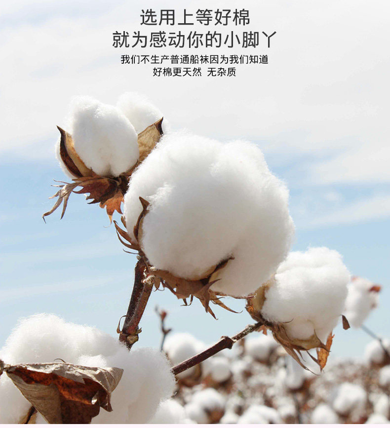 Chaussettes - collants EACIECK EB666 - Ref 763731 Image 15