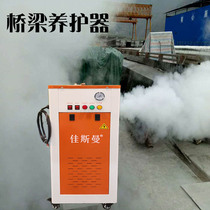 电加热蒸汽机高速公路箱梁蒸汽养护器锅炉 桥梁混凝土箱梁T梁蒸汽