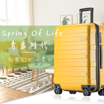 Suitcase Man 20 Inch Small Den Case Pull Lever Case Woman 24 Password Box New Student Suitcase Leather Case 26