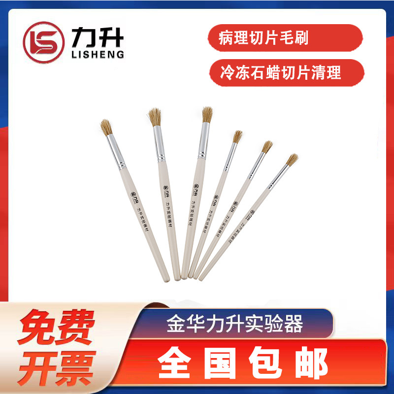 病理切片捞片毛笔石蜡切片毛笔冰冻切片清扫笔专用毛笔