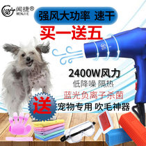 Pet hair dryer silent dog Teddy Bome cat high power large dog pet shop dedicated hair dryer