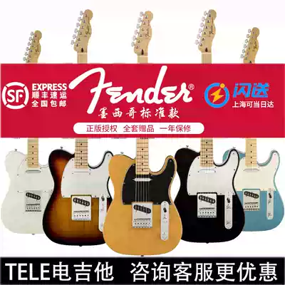 Fender Fender Fanta Electric Guitar Player Series New Ink Standard 014-5212 5213 TELE Electric Guitar