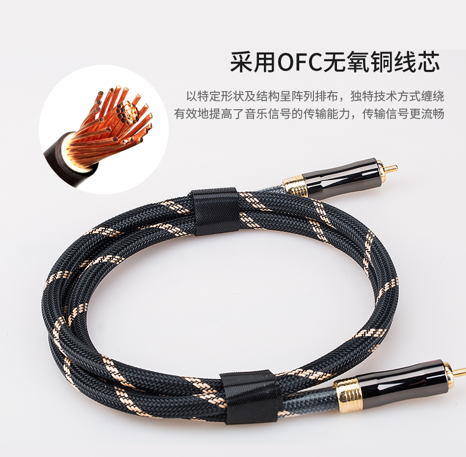 CS-5RCA插图2