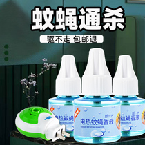 Electric Fly Aroma Liquid Odorless Hotel Exorcism for Mosquito Flys Divine Instrumental Commercial Home Fly Killing a Death Kstar