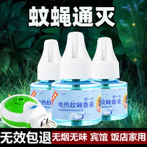 Speed Necropolis Flys new type of drive theorizer commercial mosquito Fly Aroma Liquid Catering Hotel Catch Catch Flies and Die