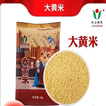 Chaoyang Jianping Grain Rhubarb Rice 1kg Vacuum Packed New Rice Coarse Grain