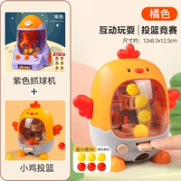 Purple Rockets захватывает [6 голов]+апельсиновые птенцы [6 голов]