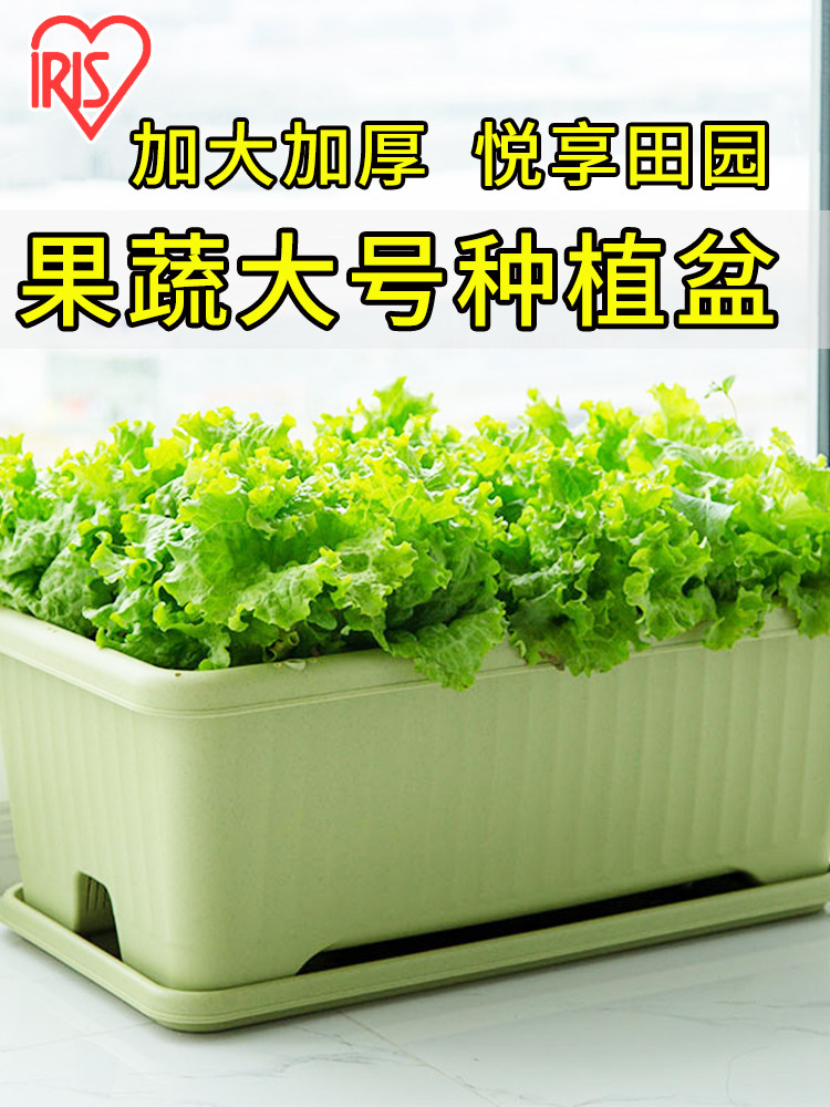 IRIS vegetable pot Rectangular fruit and vegetable planting pot King-size thickened flower pot Indoor balcony deepened planting box