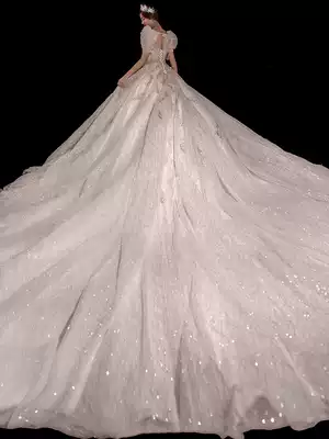 Star main wedding dress 2021 New temperament big tailing French bubble sleeve winter bride small senior sense