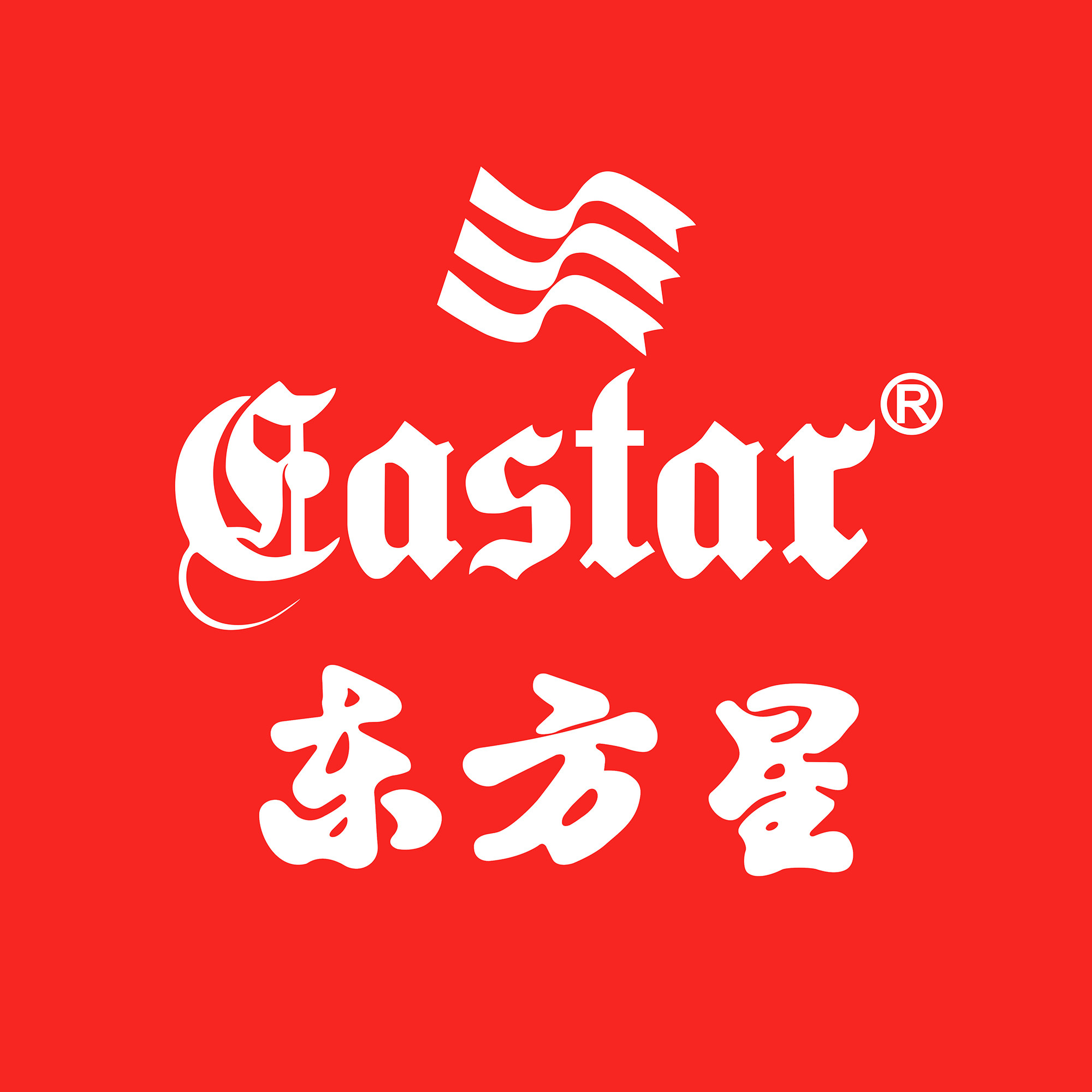 EASTAR东方星钟表企业店