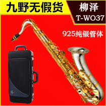 Yanuze YANAGISAWA tenor saxophone B flat TWO37 pure silver tube body