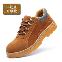 08 Four Seasons [Bi Rong Bottom]