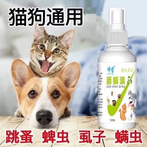 [Не боится облизывать яйца насекомых двойной убийство] собака собачья собака внешние собаки домашние кошка кошка в нице пестициды брызги