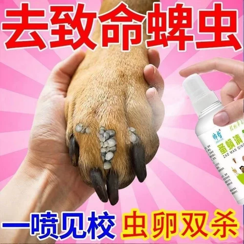 [Не боится облизывать яйца насекомых двойной убийство] собака собачья собака внешние собаки домашние кошка кошка в нице пестициды брызги
