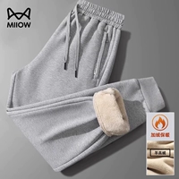 Бархатный светло -серый (упругие ноги)