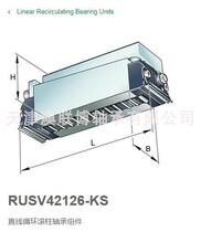 German INA Scroll slider RUSV42126-KS 30069 RUSV42086-KS RUSV42086-KS RUSV60206-KS