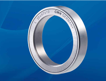 GMN oil seal GMN Labyrinth oil seal Metal high speed oil seal L60x72x10 L40X52X10