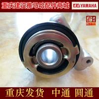 Xây dựng phụ kiện xe máy JS125-6B-6A-6FV6-7A-7c-7F bánh răng tốc độ tốc độ - Xe máy Gears Nhông sên dĩa xe Wave