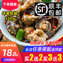 Qingdao bar chefs spicy small conch ready-to-eat cooked conch canned meat fishing juice seafood canned marinated aquatic products