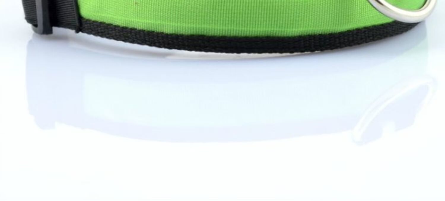 Pet LED cổ áo nhẹ Teddy VIP Labrador chó nhỏ và vừa chó mèo cổ áo nylon để gửi pin - Cat / Dog hàng ngày Neccessities Dụng cụ uống nước cho chó