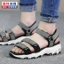 Giày Skechers Giày nữ Skechers 2019 Mùa hè mới Thể thao Bình thường Dép thoáng khí Giày đi biển 31657 - Giày thể thao / sandles dép sandal nữ Giày thể thao / sandles