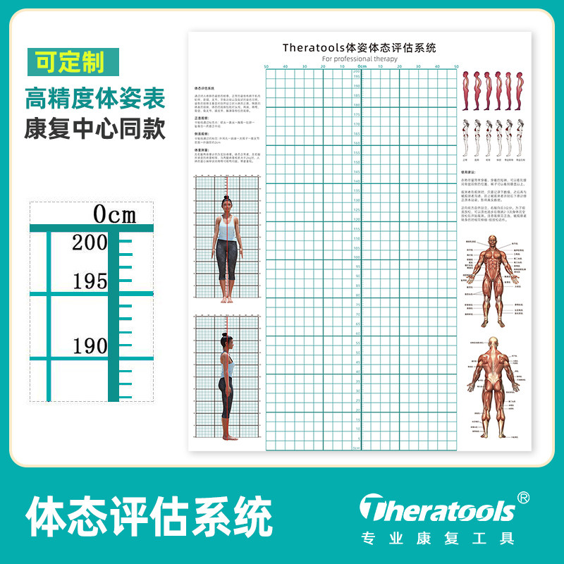 Theratools专业康复体姿评估图体态姿势筛查工具工作室诊所医用版
