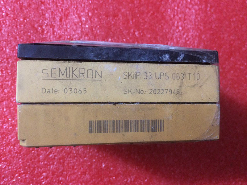 Detailed price inquiry about customer service SKIIP33UPS063T10