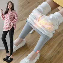 Maternity trousers autumn and winter clothing winter plus velvet thick outer wear leggings fashion maternity clothing pure cotton new winter clothing