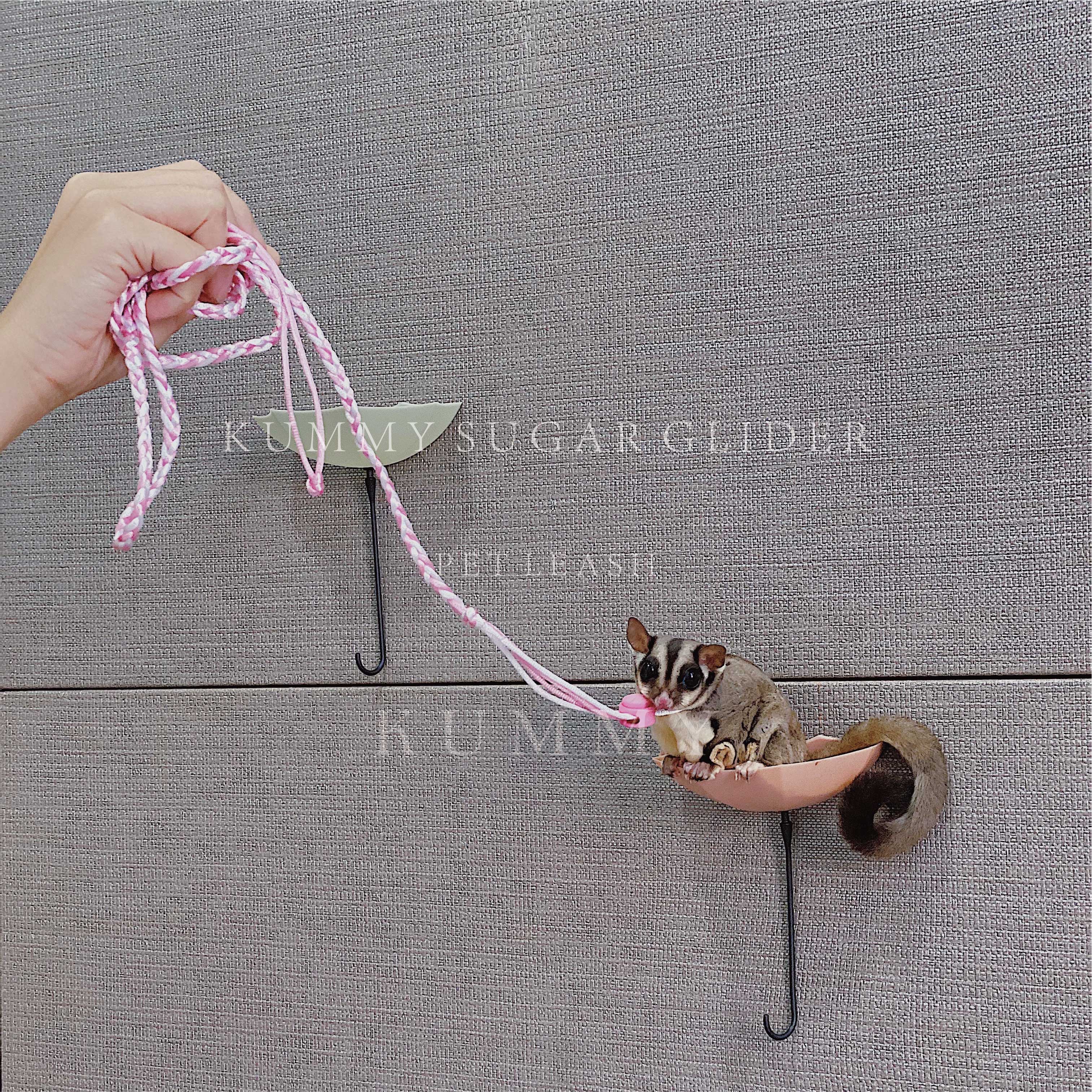 Honey bag Traction Rope Out of the Item Circle Anti-biting anti-loss Run rope Long 1 4 m 2 m kummy Small honey Supplies