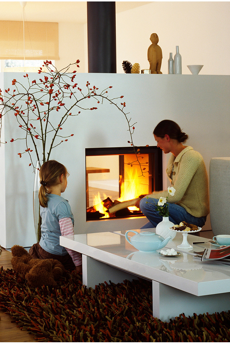 Stûv 21 Two-Sided Built-In Wood-Burning Fireplace — Product Details 8